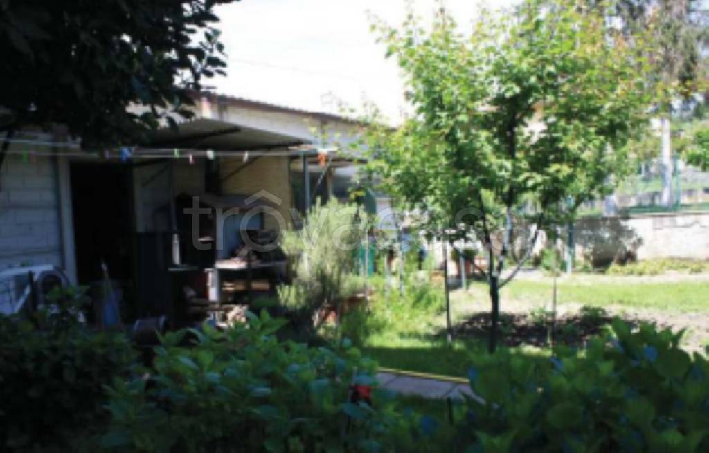 immagine annuncio 7 di 11