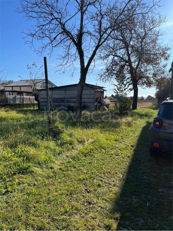 immagine annuncio 2 di 11