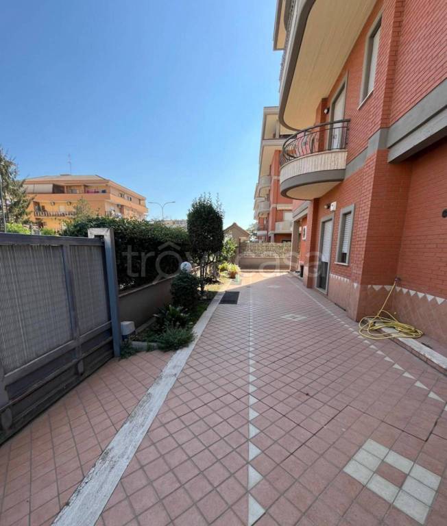 immagine annuncio 7 di 11