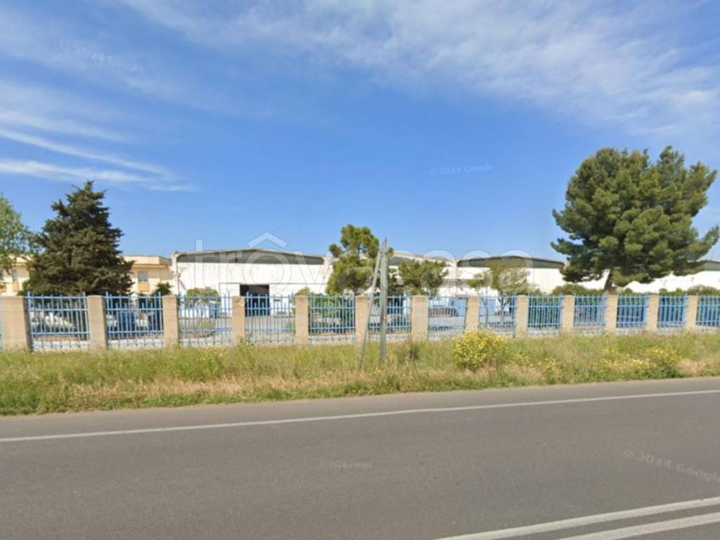 immagine annuncio 9 di 15