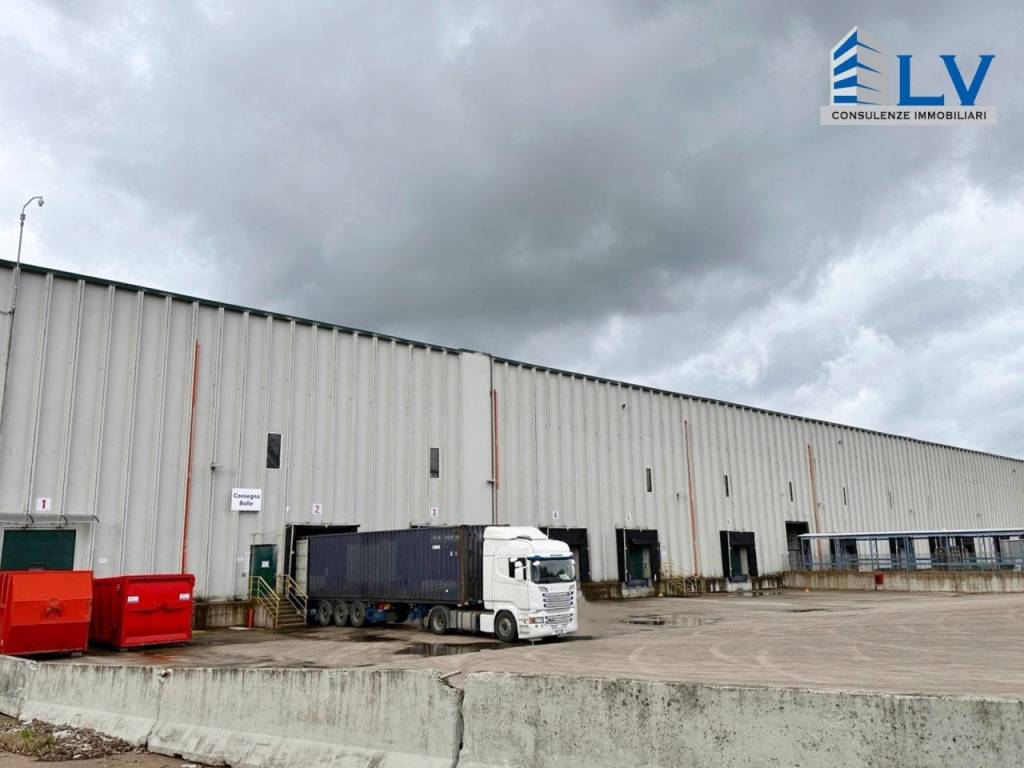 immagine annuncio 7 di 12