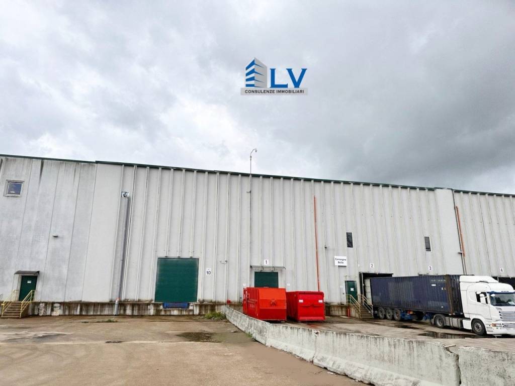 immagine annuncio 8 di 12