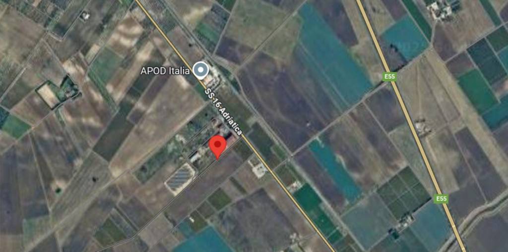 immagine annuncio 10 di 15