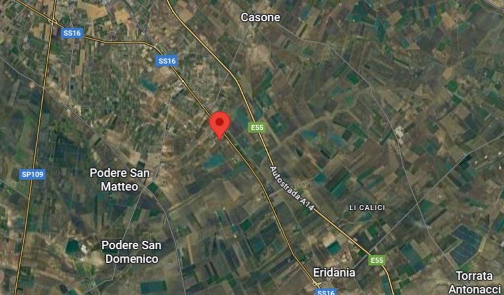 immagine annuncio 12 di 15