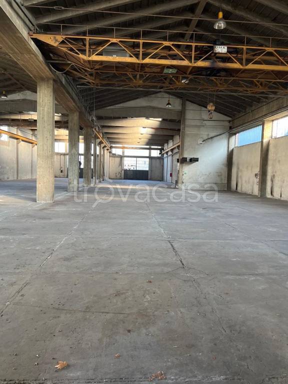 immagine annuncio 5 di 13