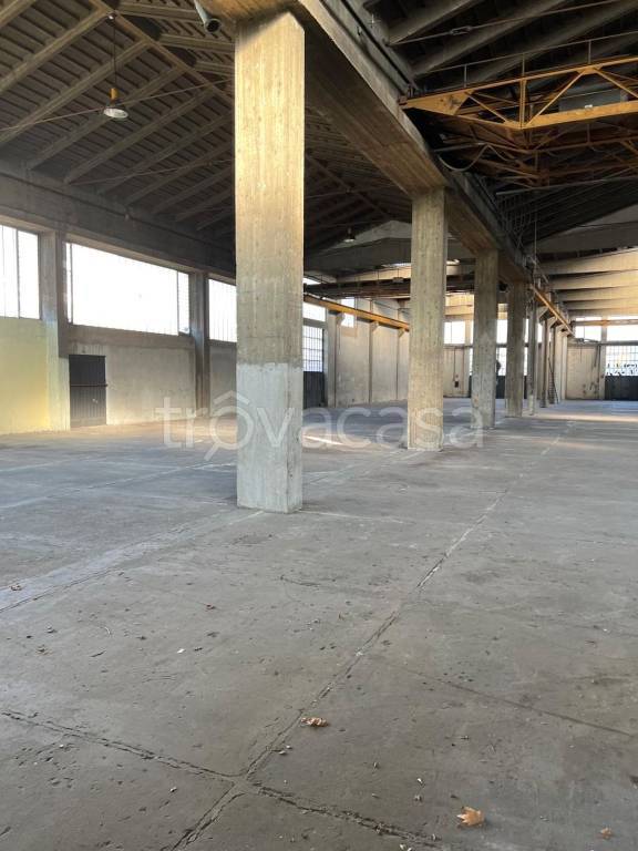 immagine annuncio 7 di 13