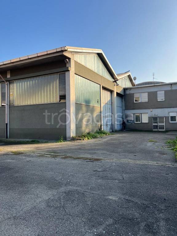 immagine annuncio 2 di 13