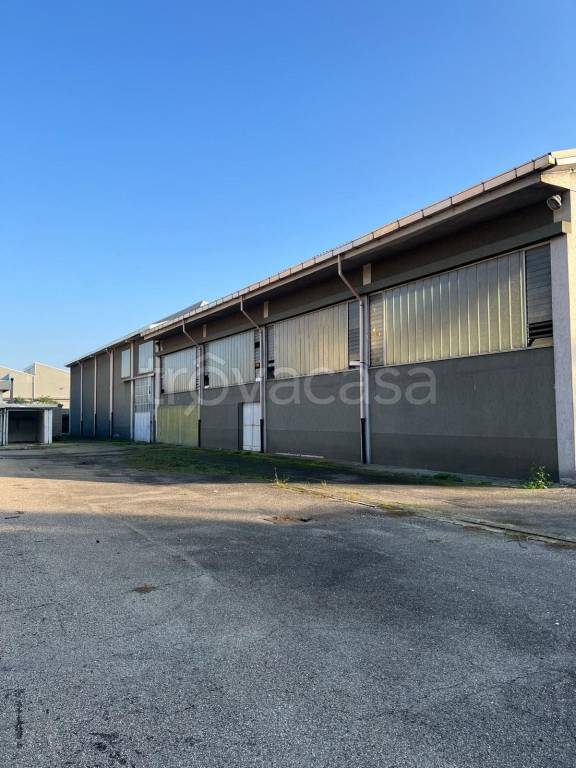 immagine annuncio 10 di 13