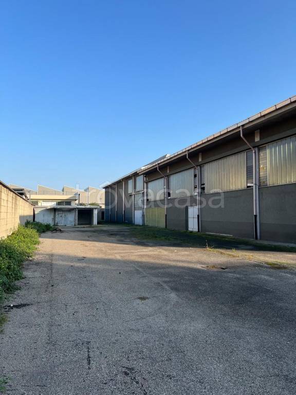 immagine annuncio 11 di 13