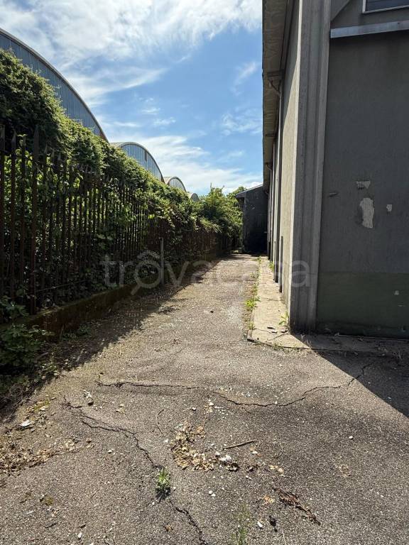 immagine annuncio 12 di 13