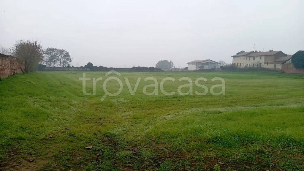 immagine annuncio 3 di 14