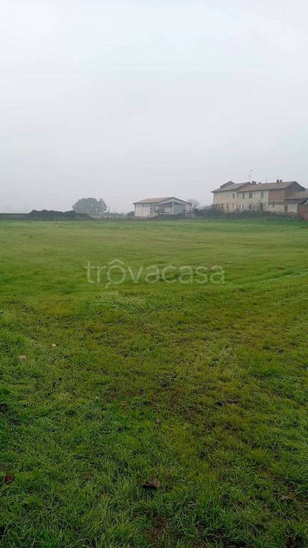 immagine annuncio 9 di 14