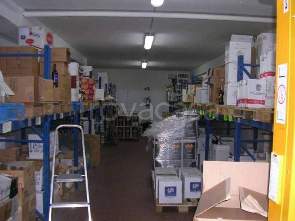 immagine annuncio 3 di 6