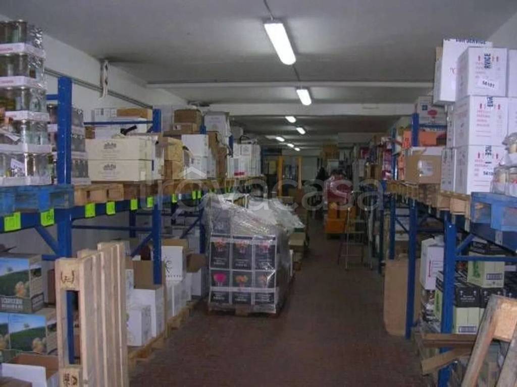 immagine annuncio 4 di 6