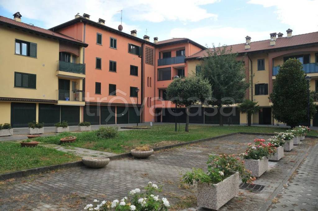 immagine annuncio 3 di 15