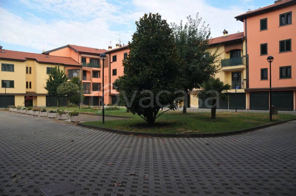 immagine annuncio 5 di 15