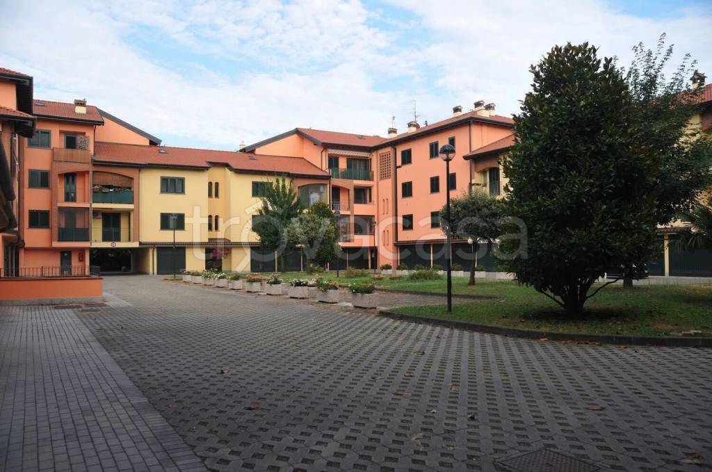 immagine annuncio 6 di 15