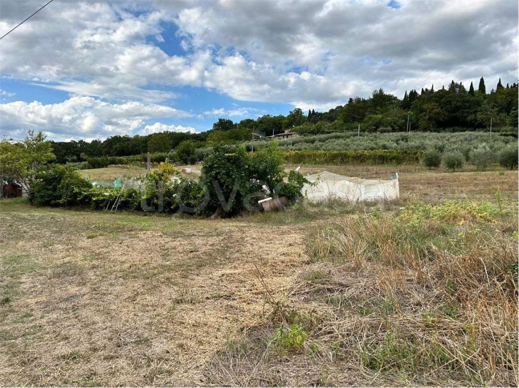 immagine annuncio 7 di 9