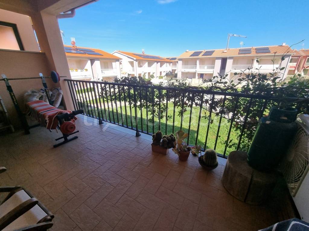 immagine annuncio 9 di 15