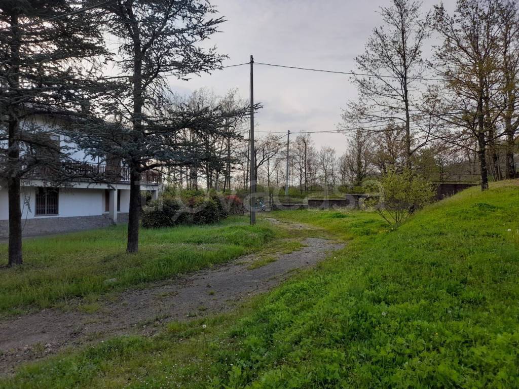 immagine annuncio 2 di 3