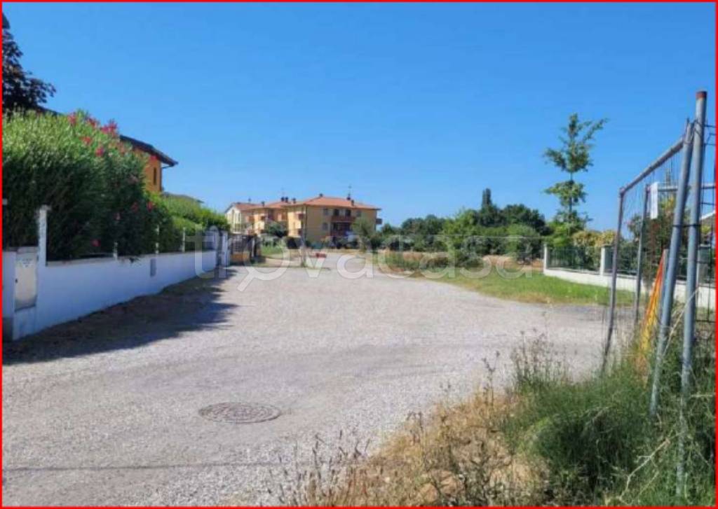 immagine annuncio 3 di 12