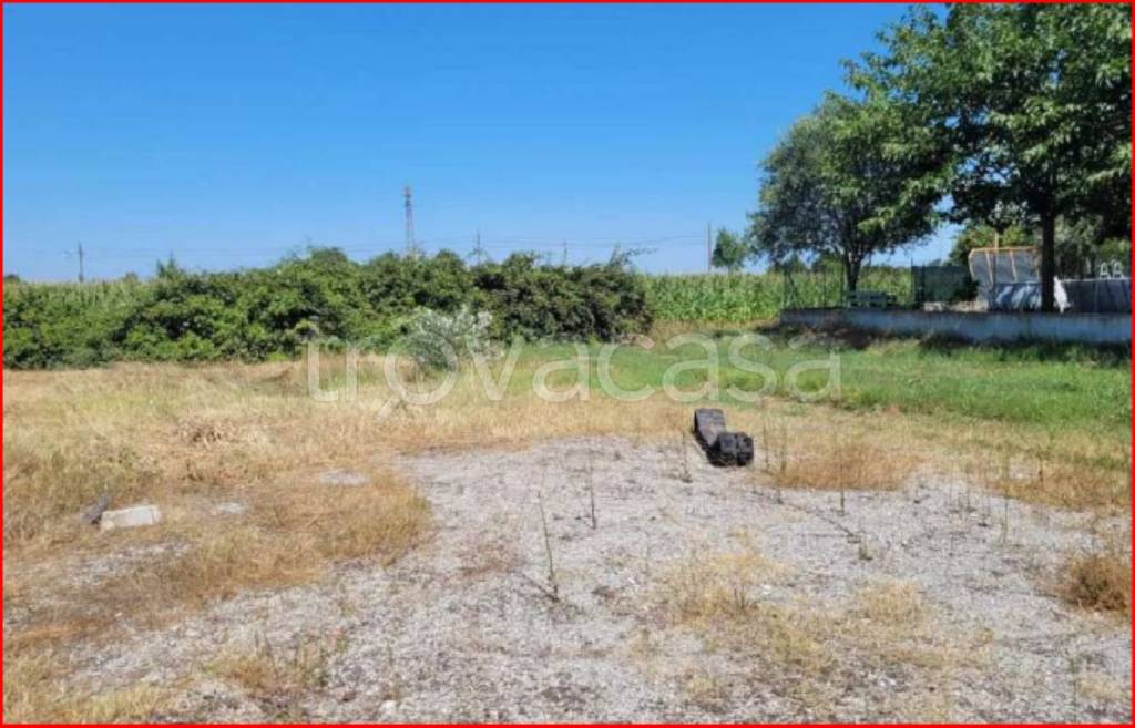 immagine annuncio 5 di 12