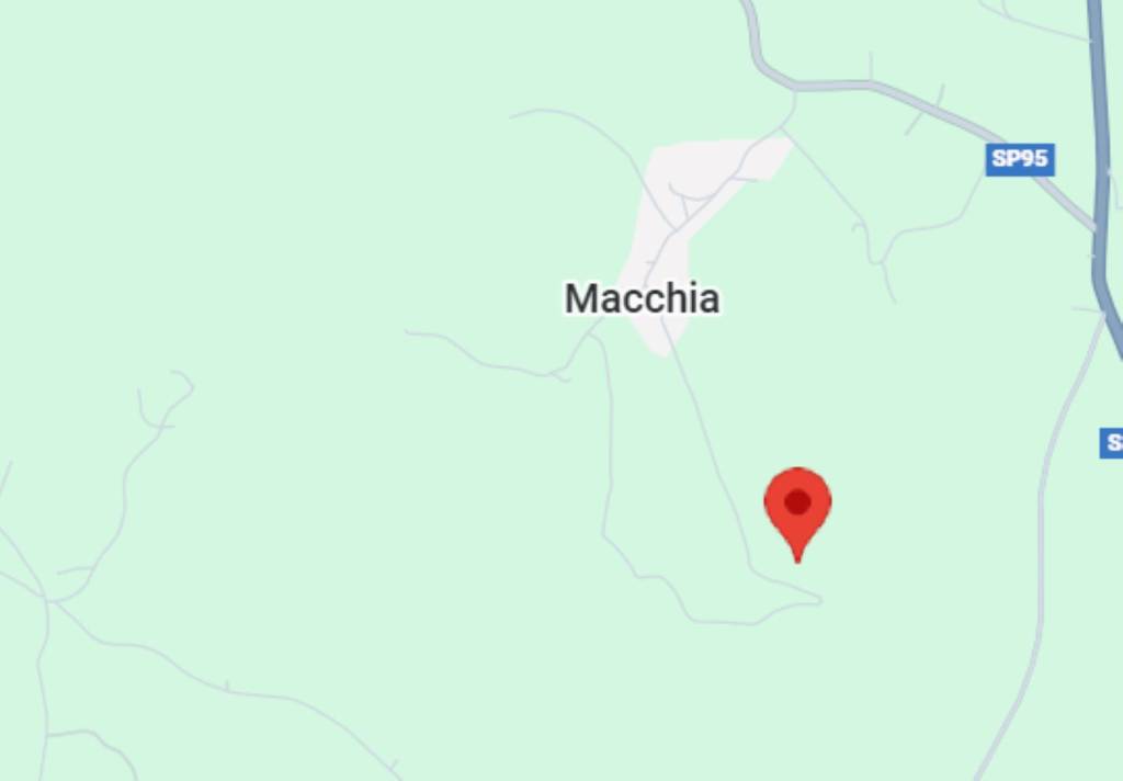 immagine annuncio 7 di 12