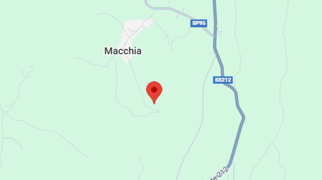 immagine annuncio 8 di 12