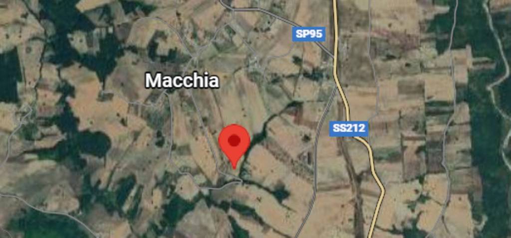 immagine annuncio 9 di 12