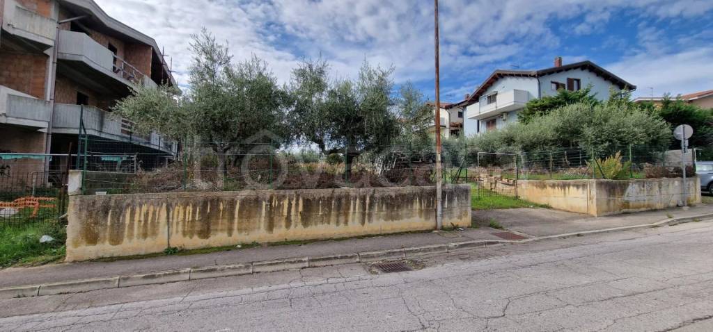 immagine annuncio 4 di 10