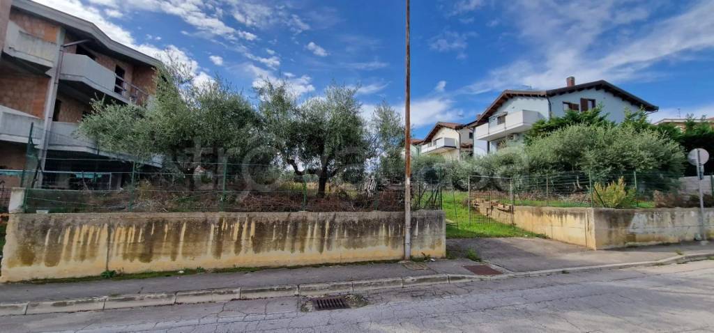 immagine annuncio 9 di 10