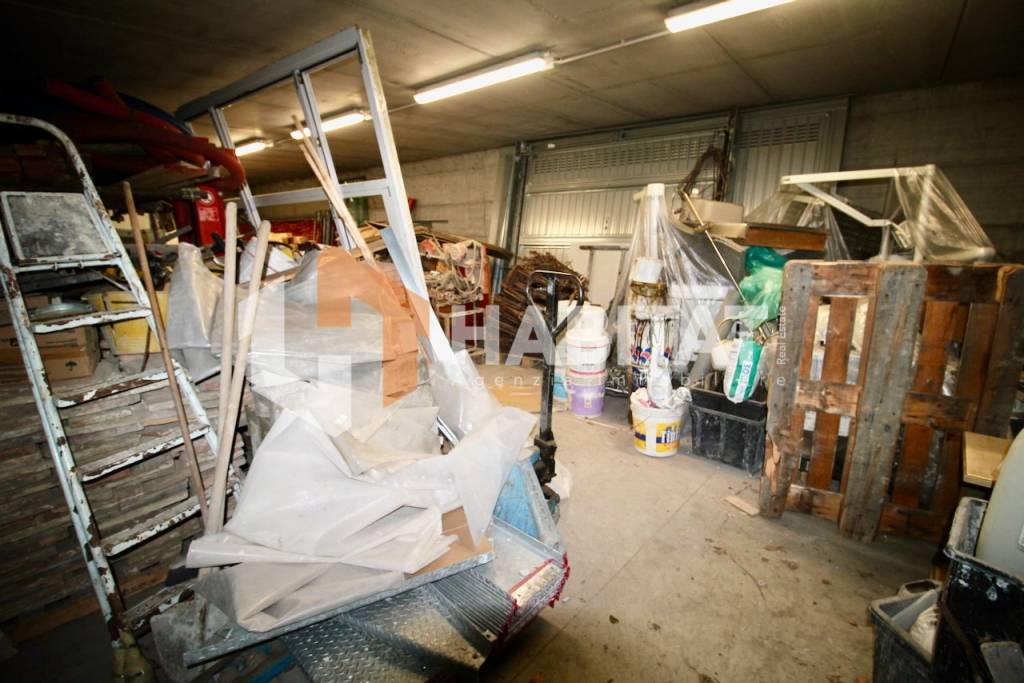 immagine annuncio 14 di 15