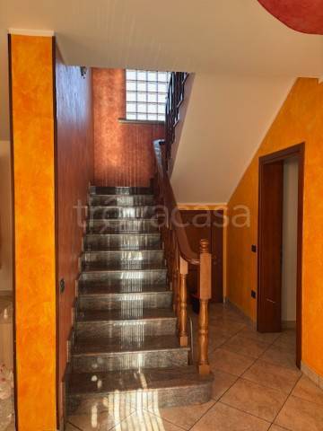 immagine annuncio 4 di 7