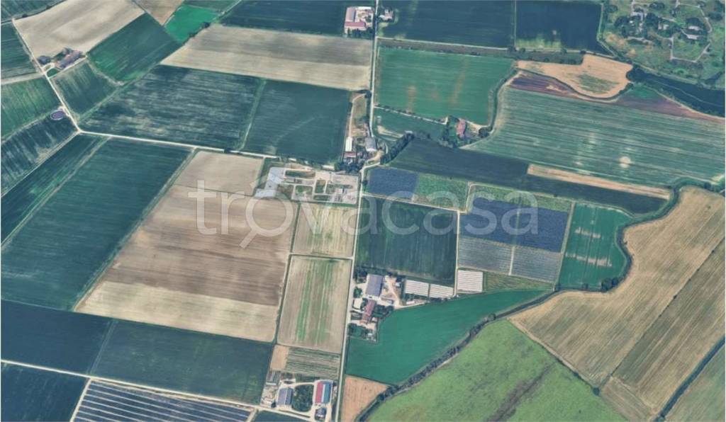 immagine annuncio 8 di 11