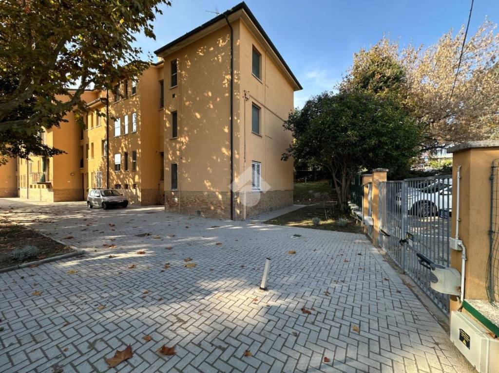 immagine annuncio 11 di 12