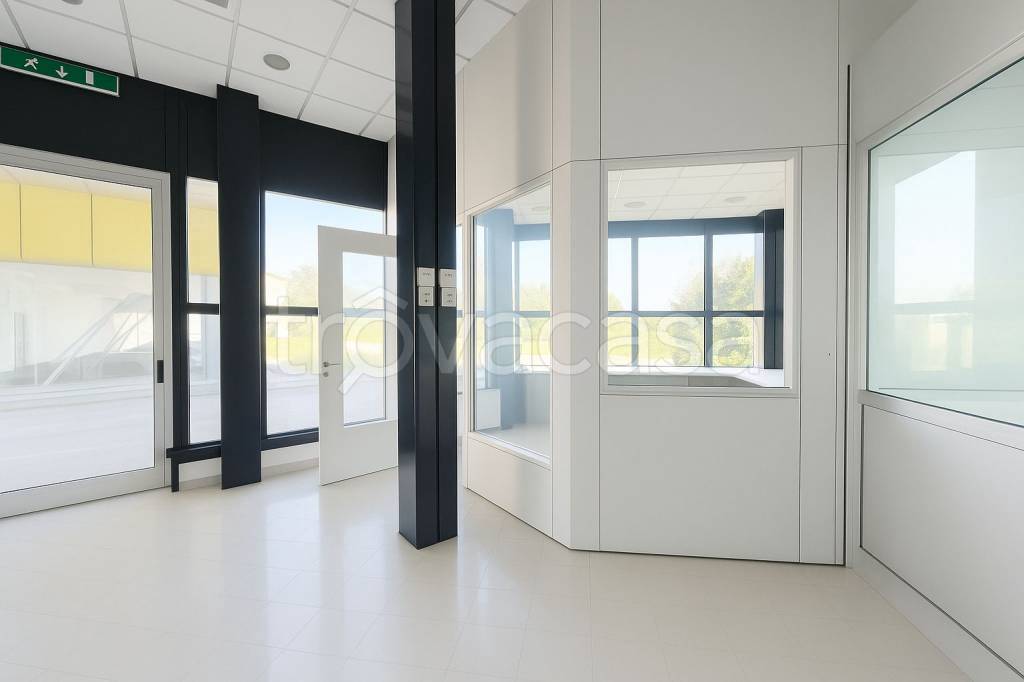 immagine annuncio 3 di 11