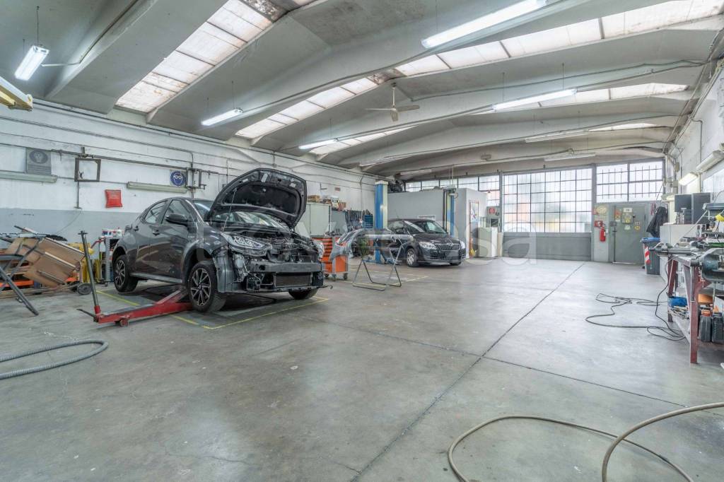 immagine annuncio 5 di 15