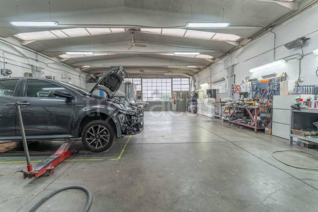 immagine annuncio 6 di 15