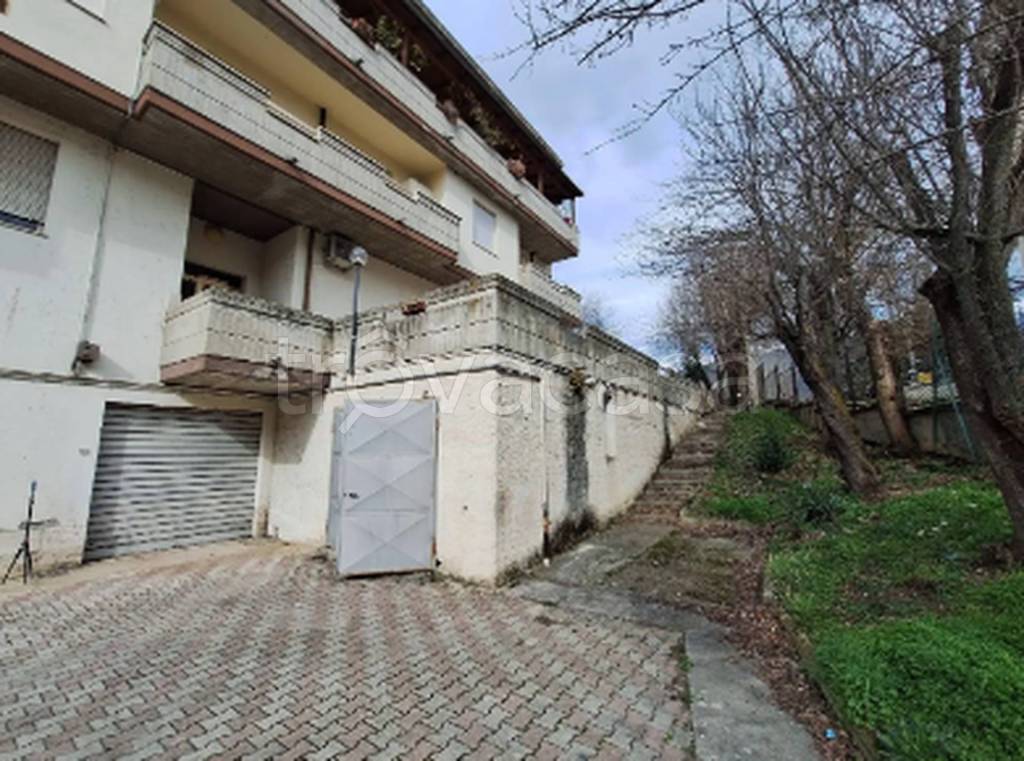 immagine annuncio 9 di 11