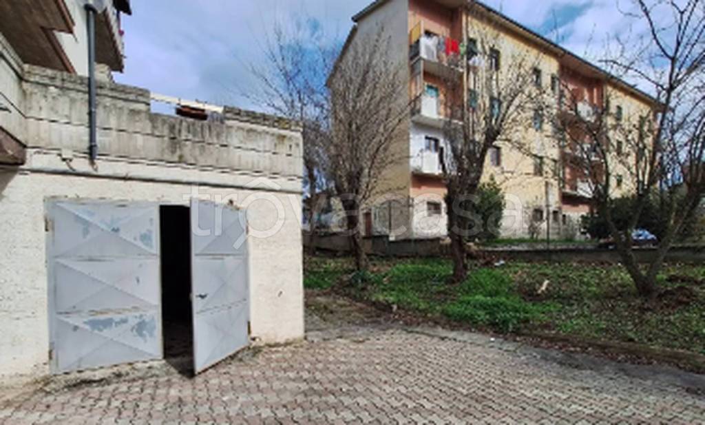 immagine annuncio 10 di 11