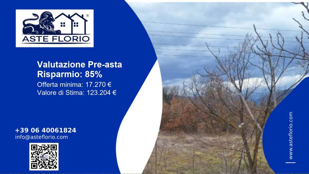 immagine annuncio 1 di 12