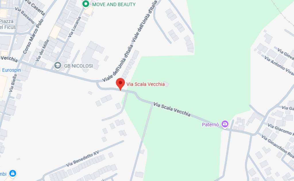 immagine annuncio 4 di 11