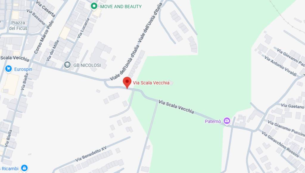 immagine annuncio 6 di 11