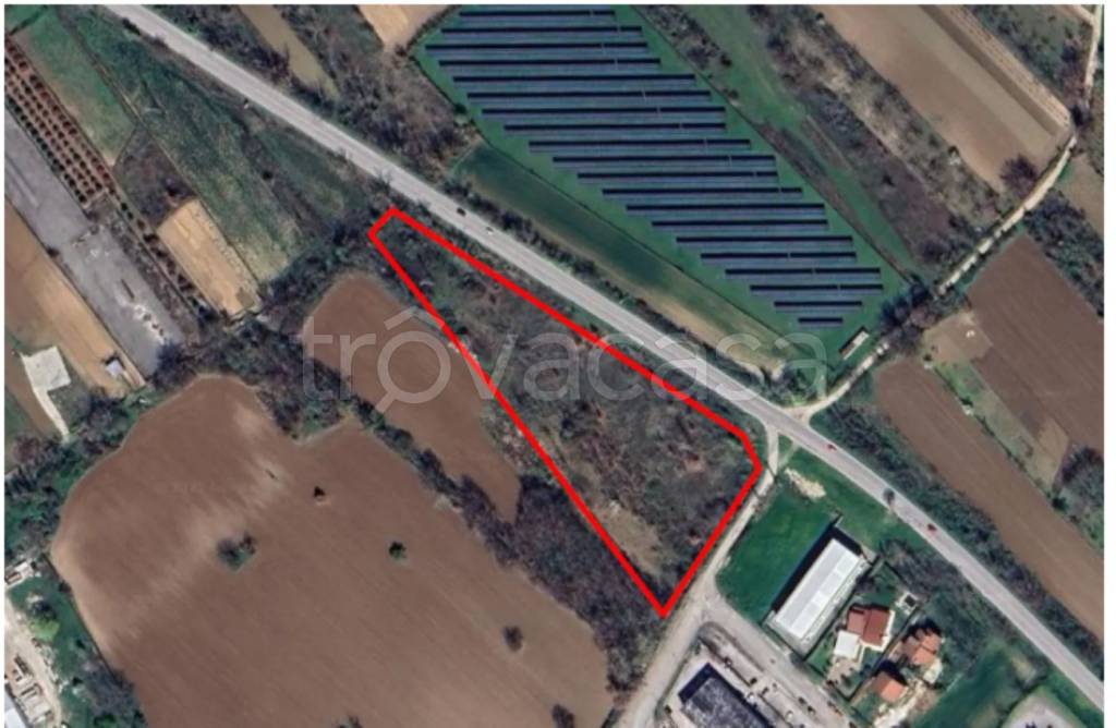 immagine annuncio 1 di 11