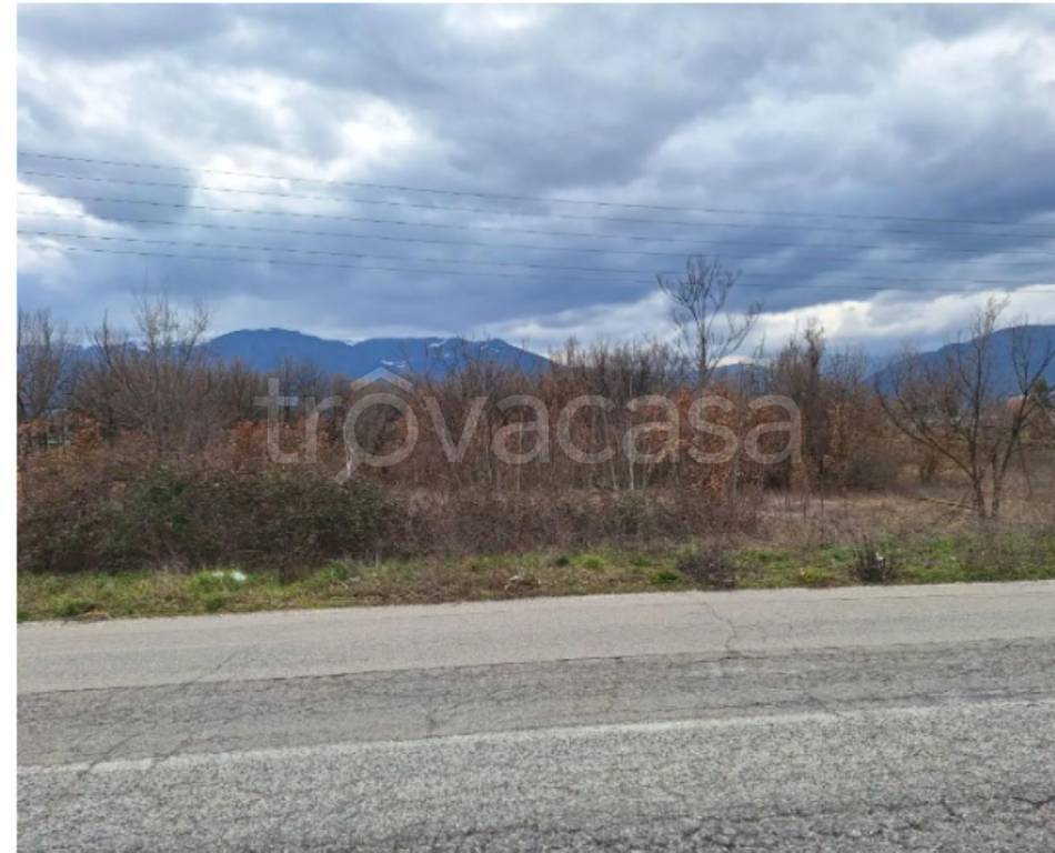 immagine annuncio 4 di 11