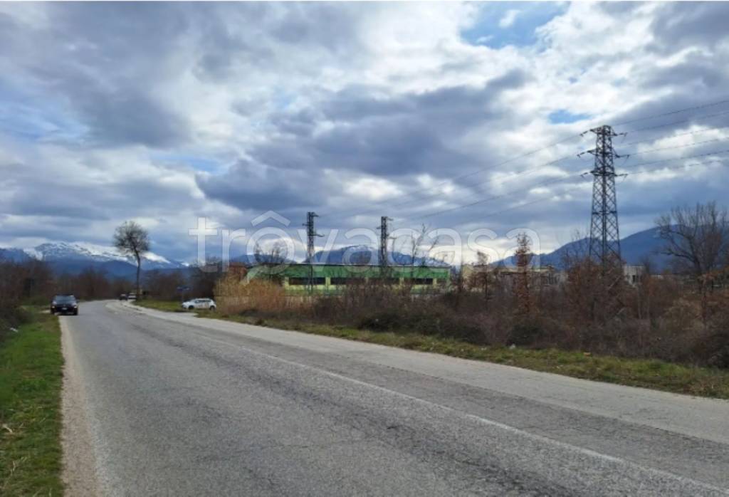 immagine annuncio 5 di 11