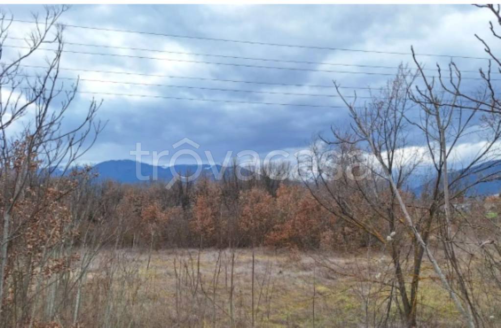 immagine annuncio 6 di 11