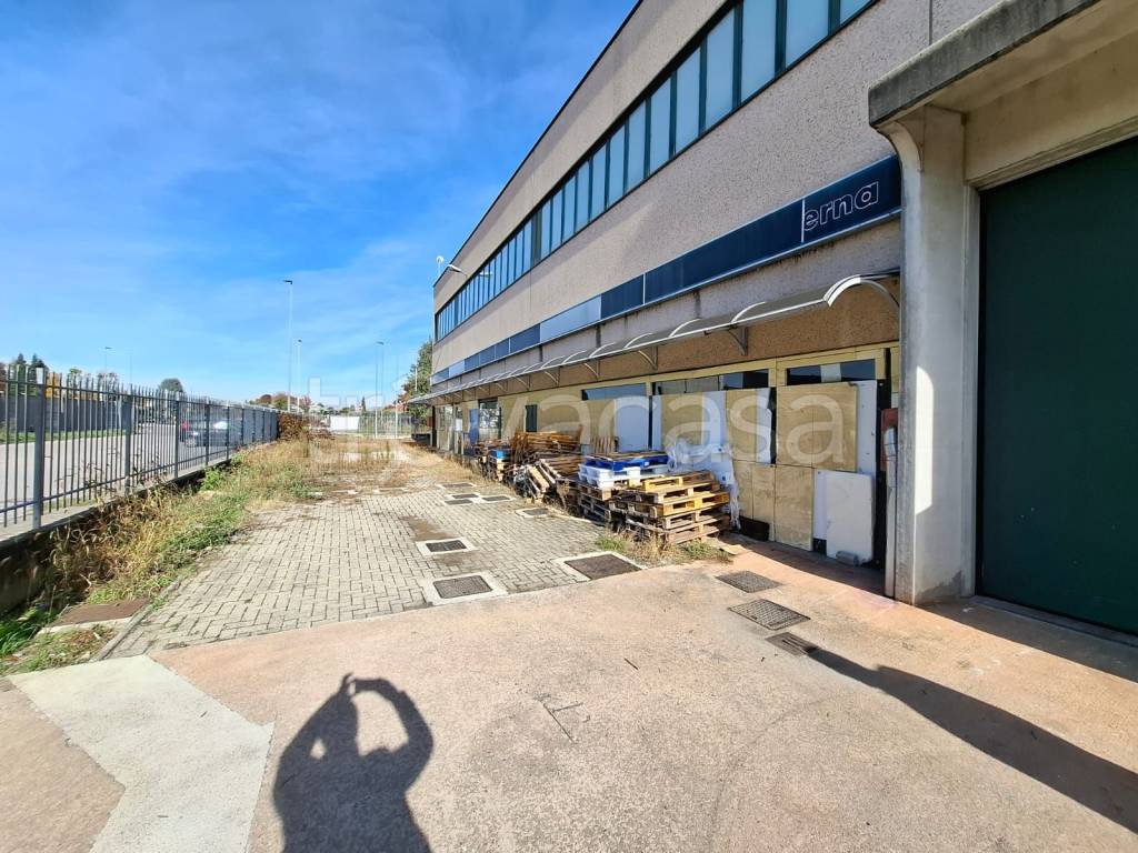 immagine annuncio 3 di 15