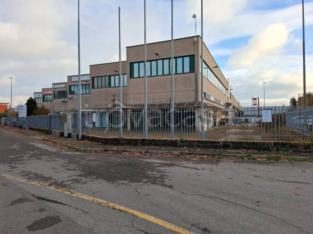 immagine annuncio 9 di 15