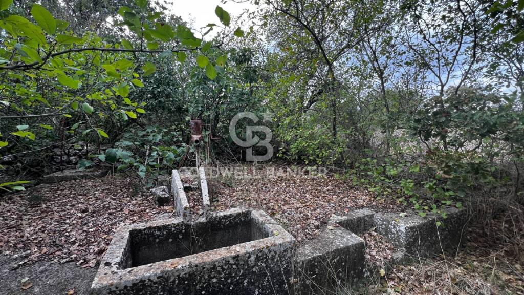 immagine annuncio 6 di 7